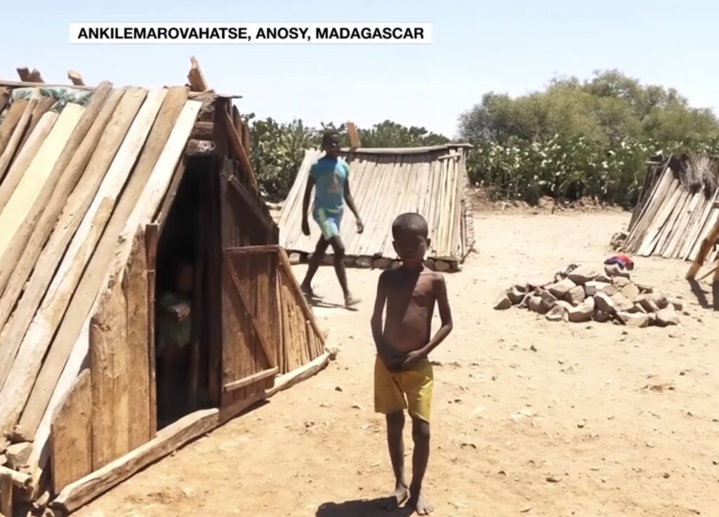 Sultkatastrofe på Sør-Madagaskar